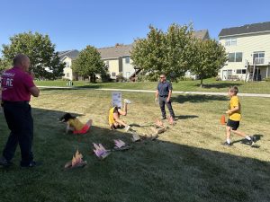 IMG 4763
